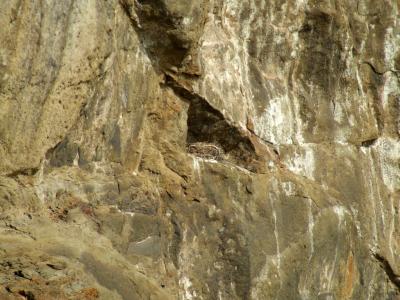 Прикрепленное изображение: DSCF6083.jpg